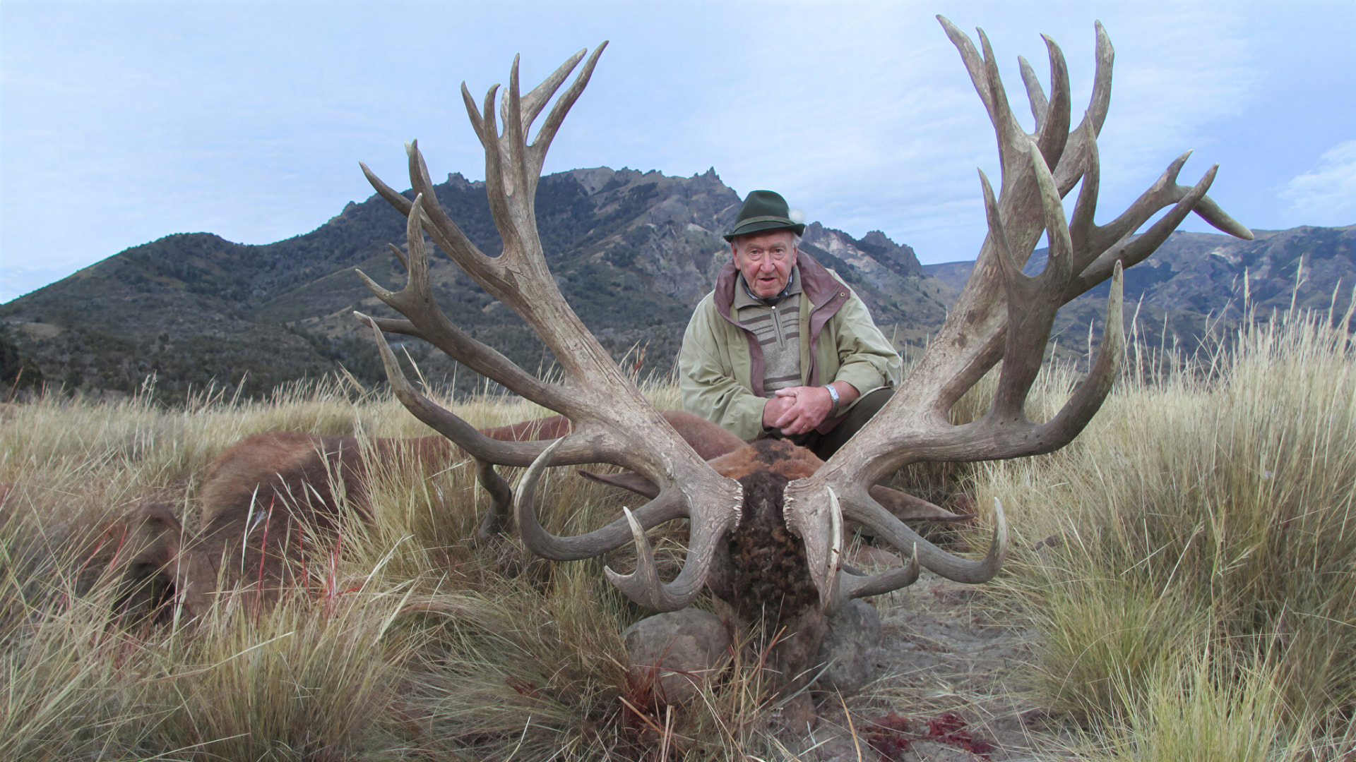 Hunter with an exceptional wide red stag in the golden grass