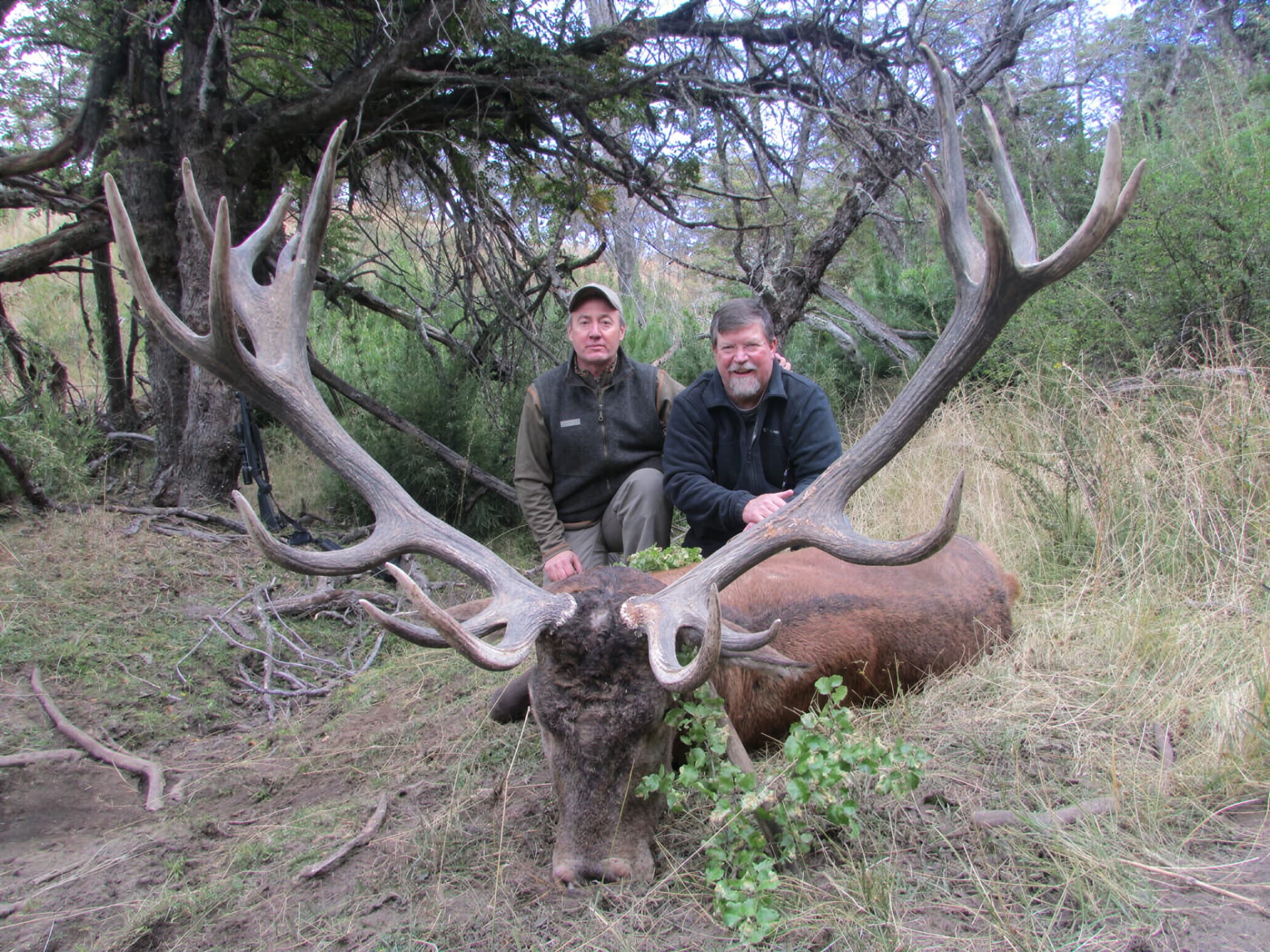 Two hunters with a wide-antlered red stag under the trees