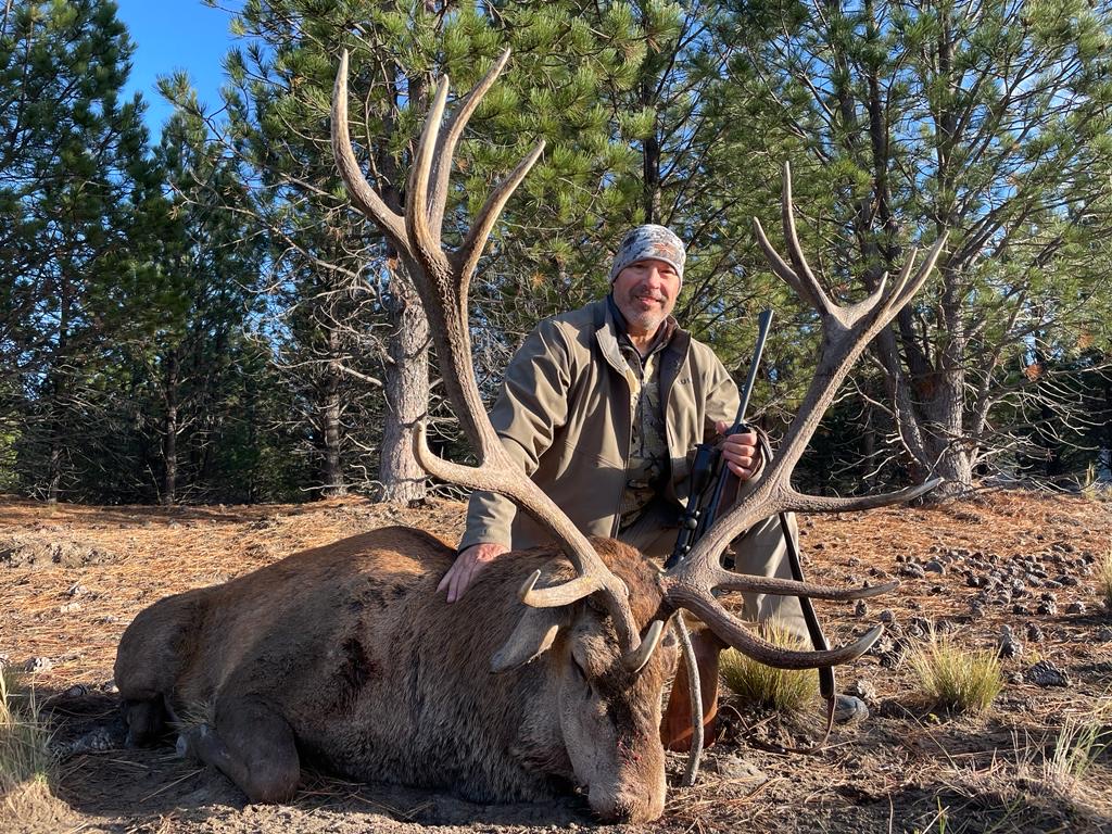 Hunter with a mature red stag taken in the pine forest