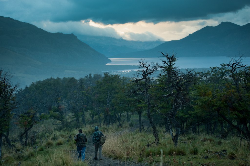 Hunter and guide walking a lenga ridge above the lake at first light, Parque Diana, Patagonia