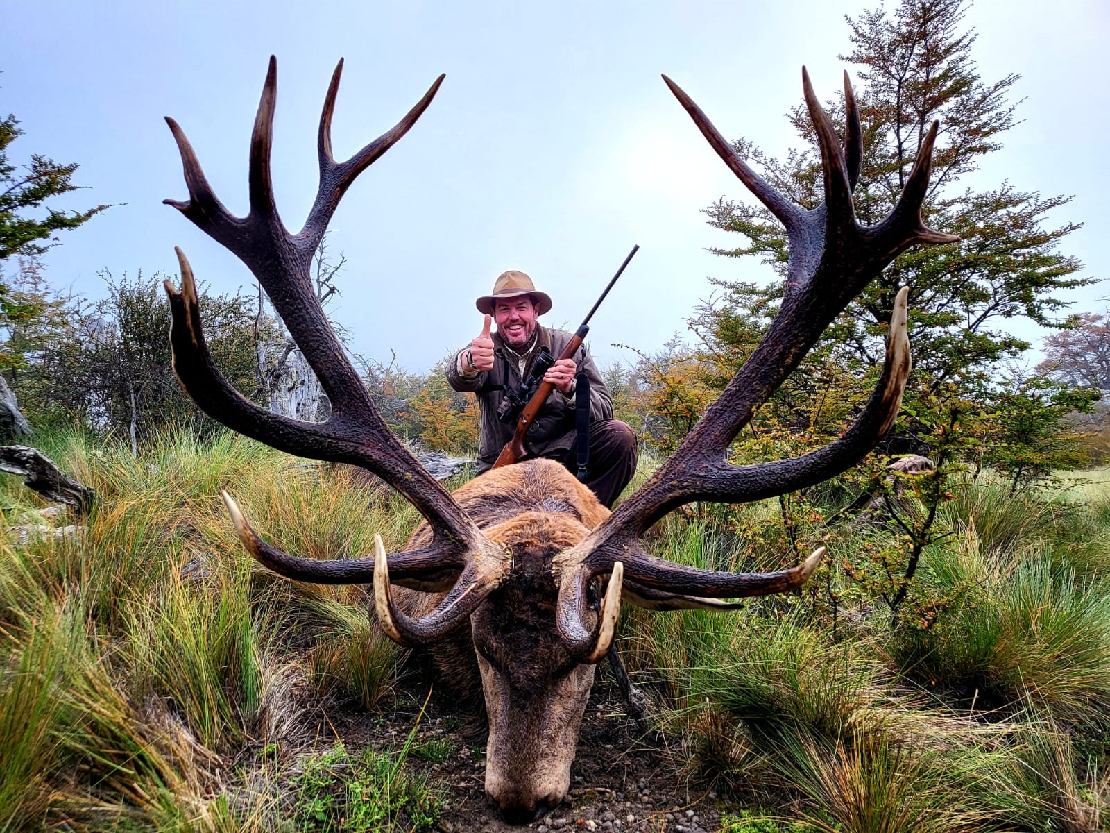Hunter behind a huge multi-tined red stag in the lenga forest