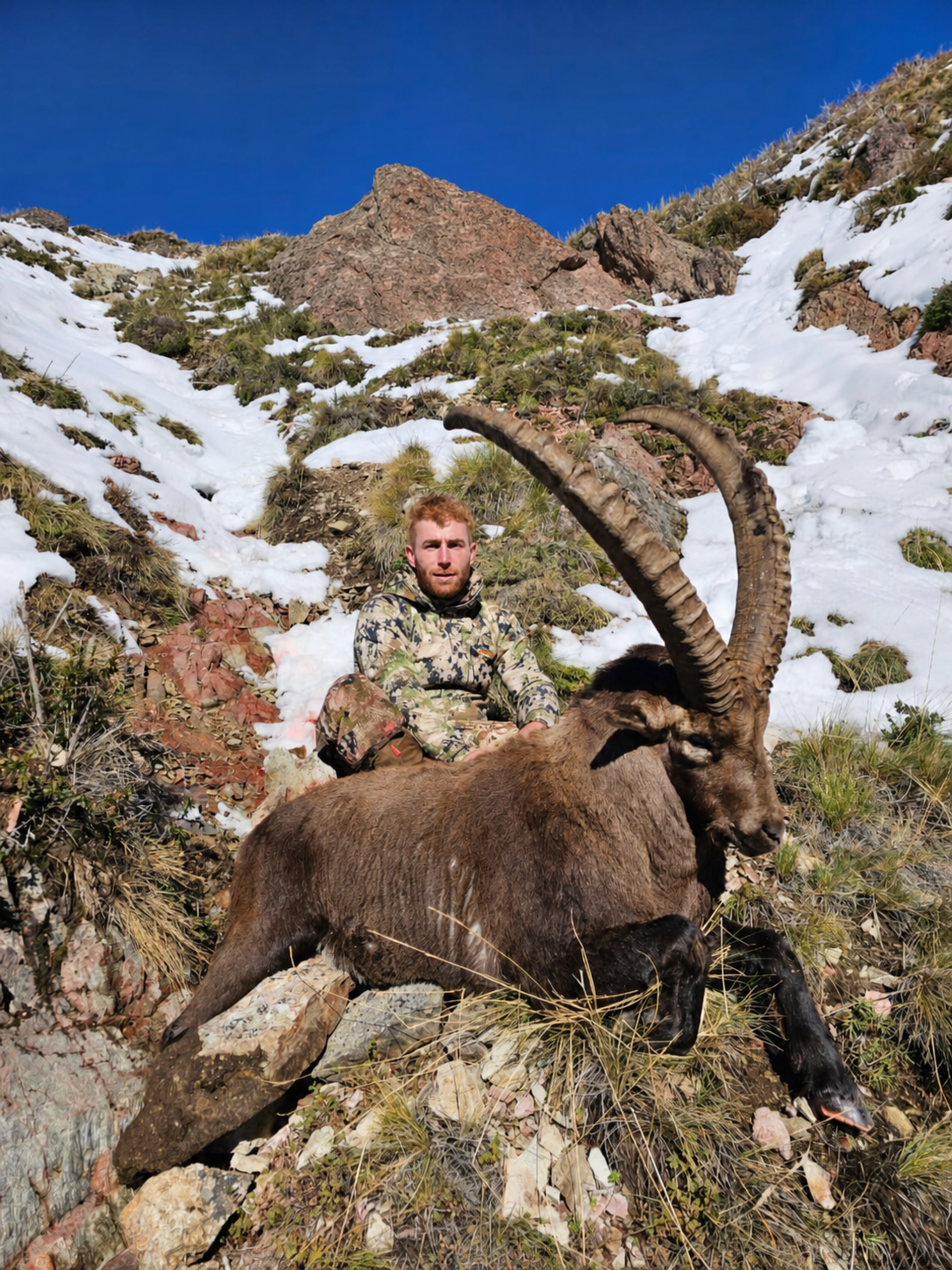 Hunter with a long-horned Alpine ibex on a snow-streaked Andean slope under a deep blue sky