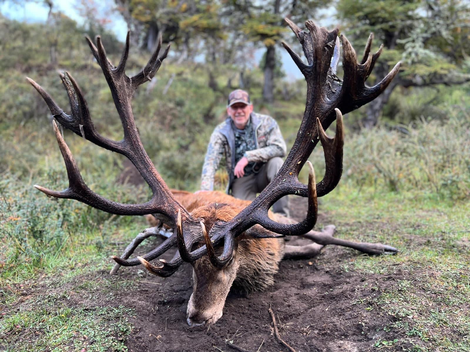 Close-up of a massive dark-antlered Patagonian red stag with its hunter