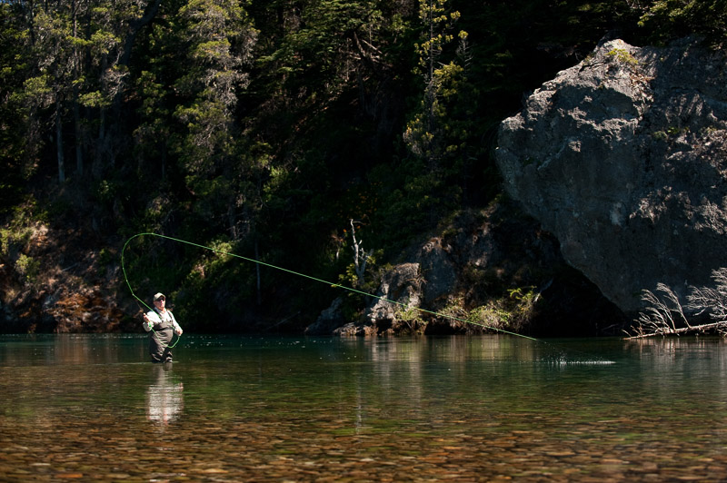 Fly fisherman casting a long line on a clear Patagonian spring creek lined with green forest