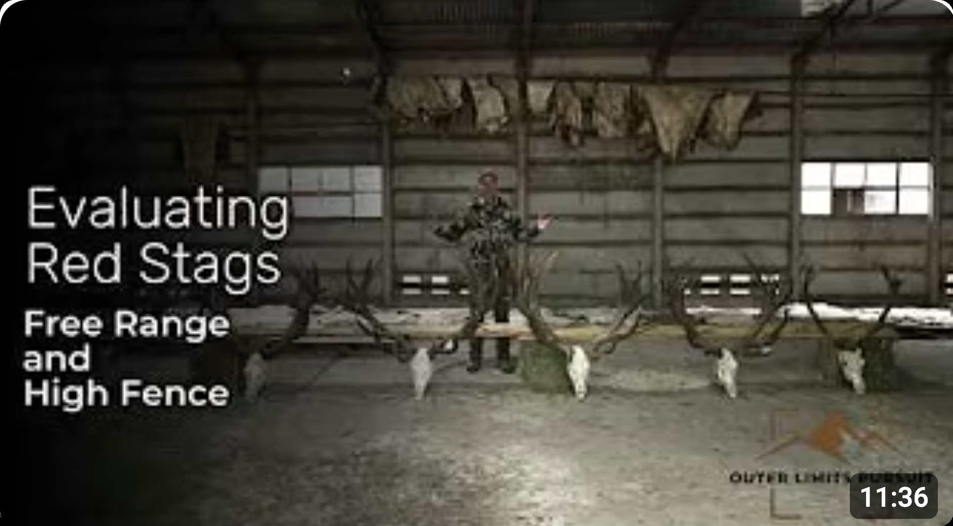 Evaluating Red Stags: Free Range and High Fence — Outer Limits Pursuit preview