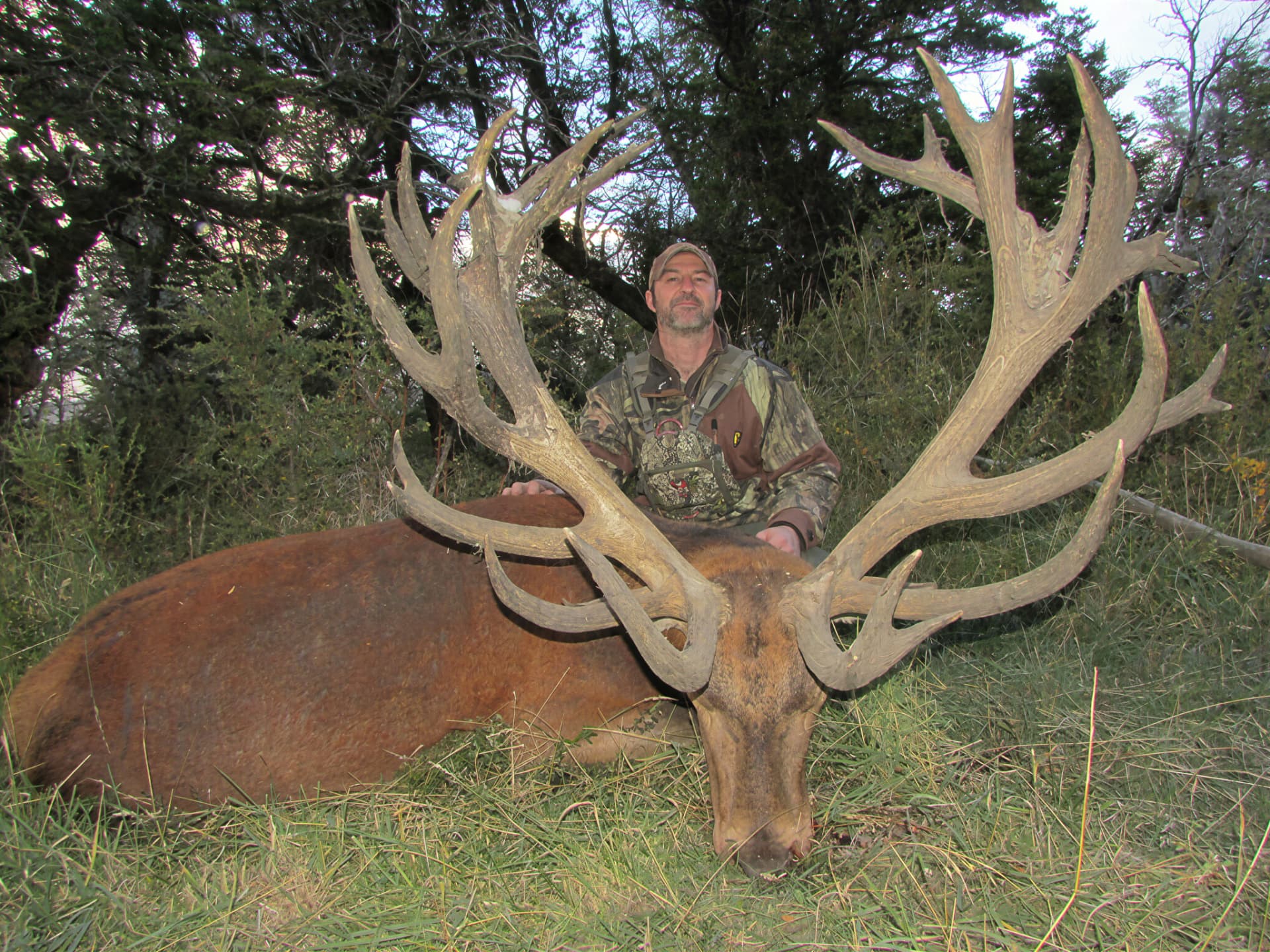 Hunter with a broad-beamed red stag in the forest
