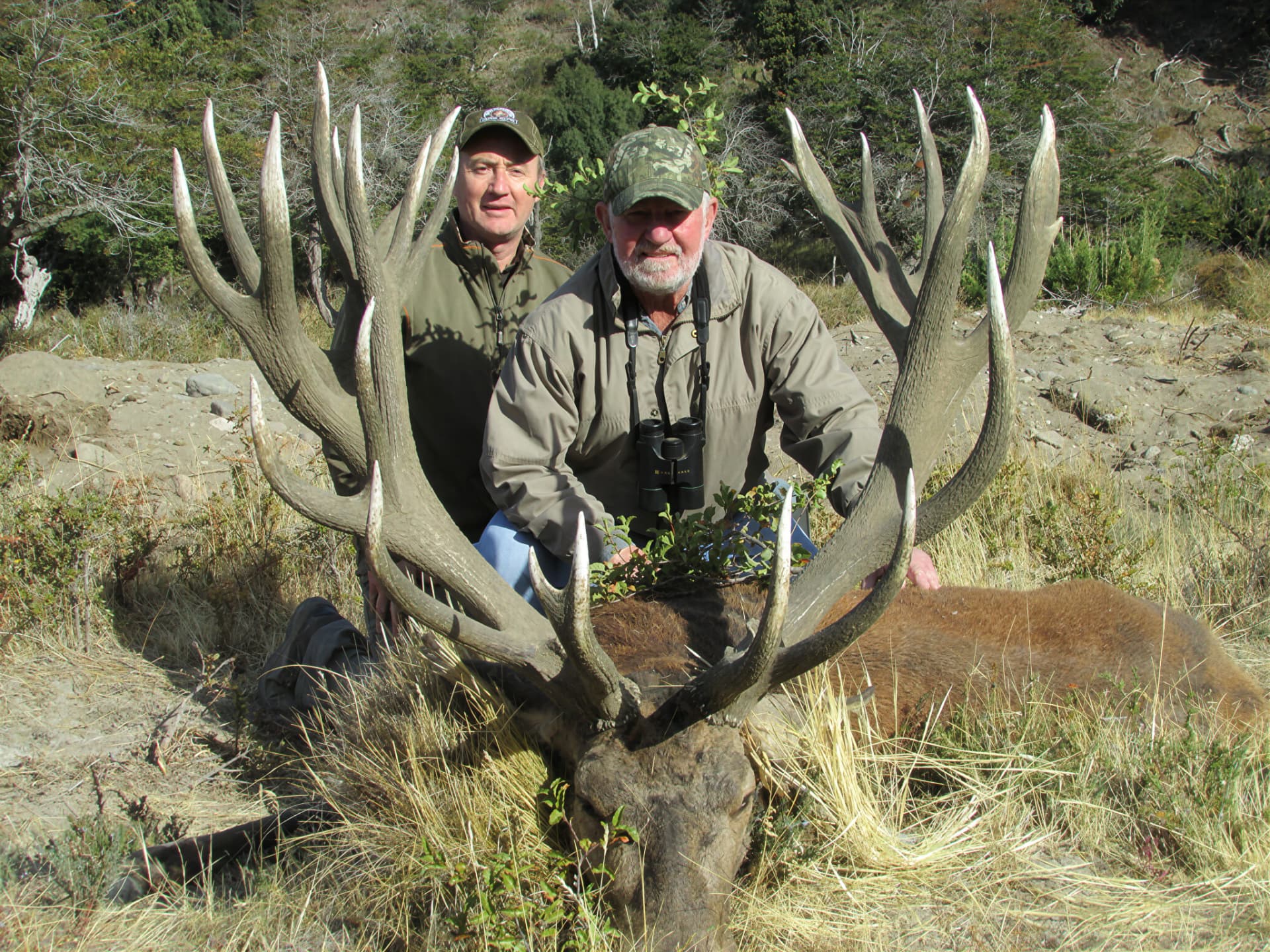 Two hunters with a towering multi-tined red stag