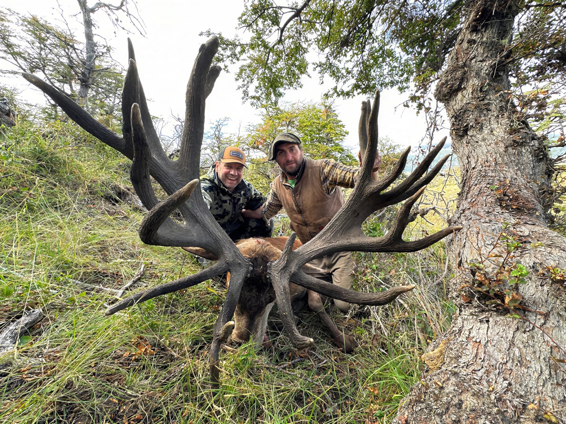 Hunter and guide with a giant multi-tined red stag on a wooded ridge
