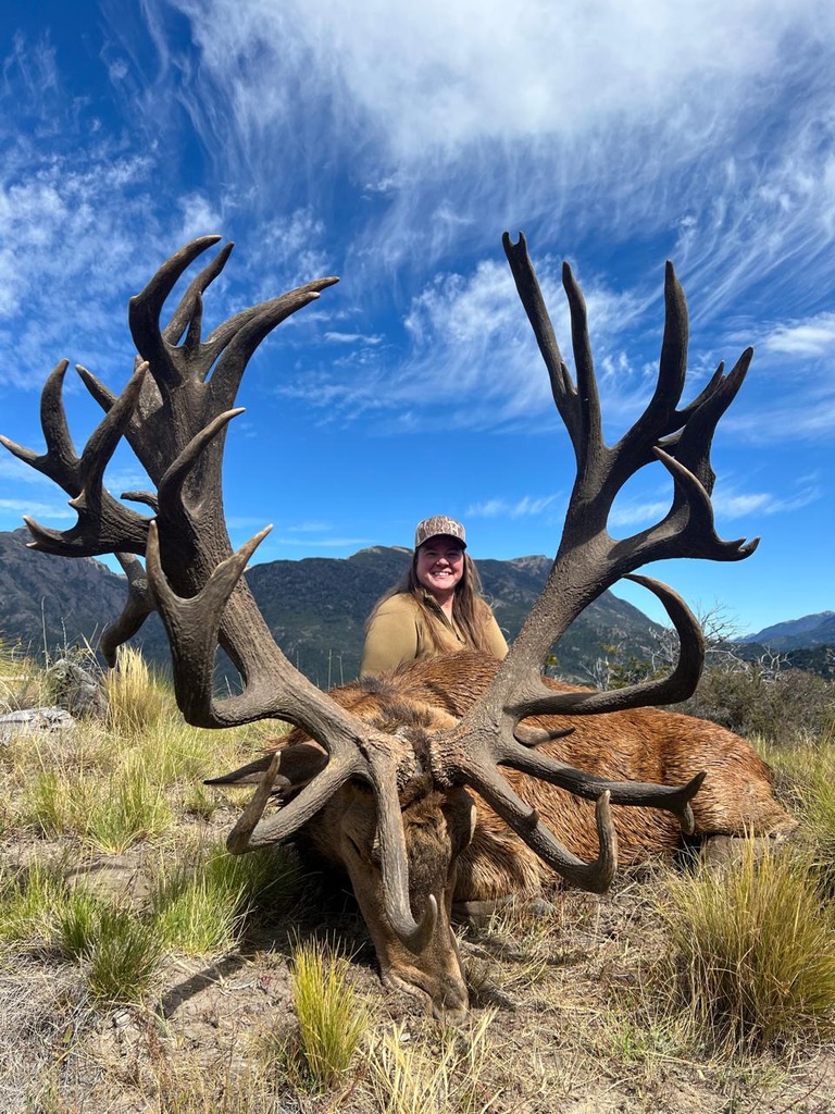 Hunter behind an exceptional wide multi-tined red stag under a blue Patagonian sky