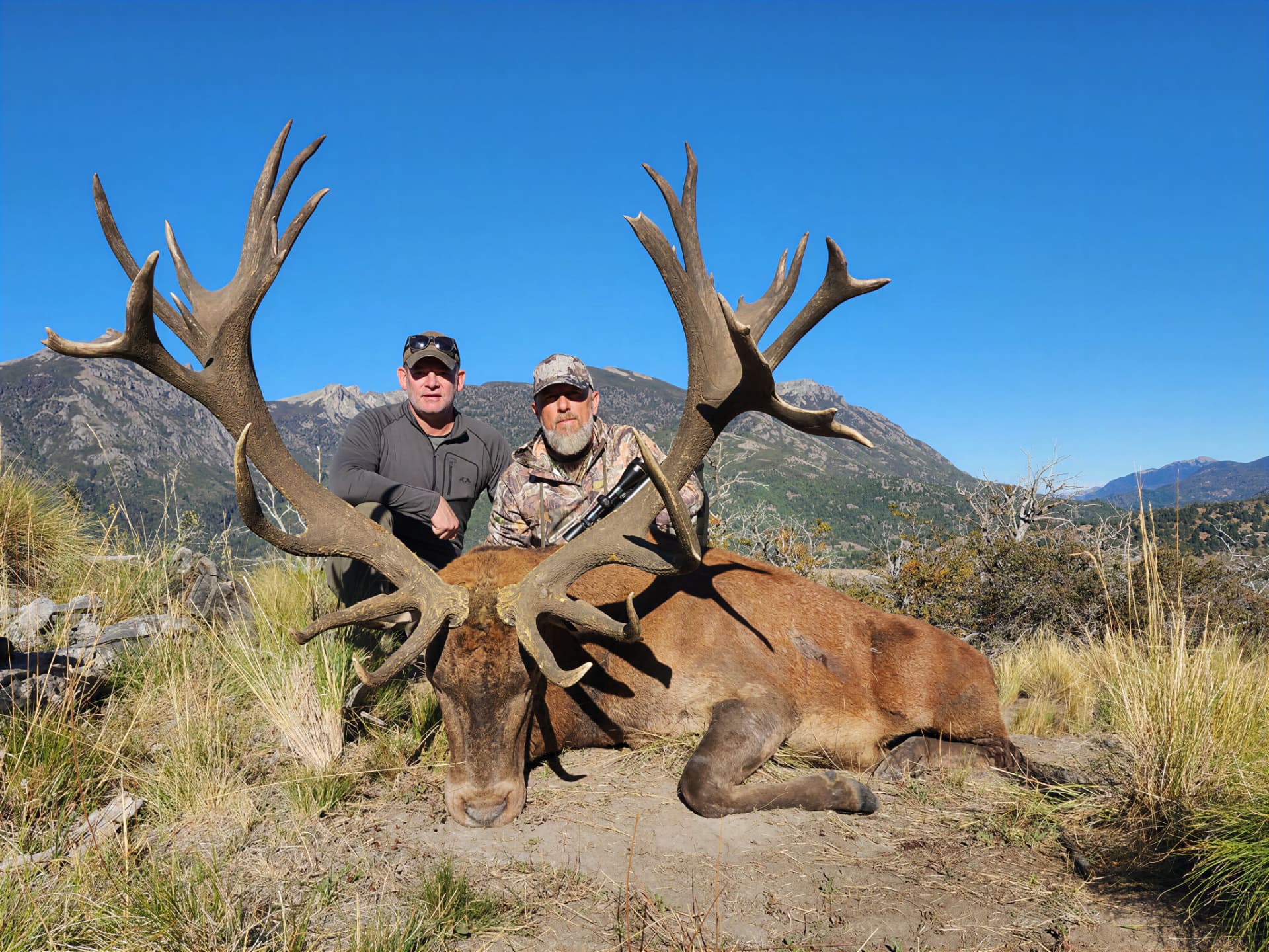 Two hunters with a heavy red stag under a clear blue Andean sky