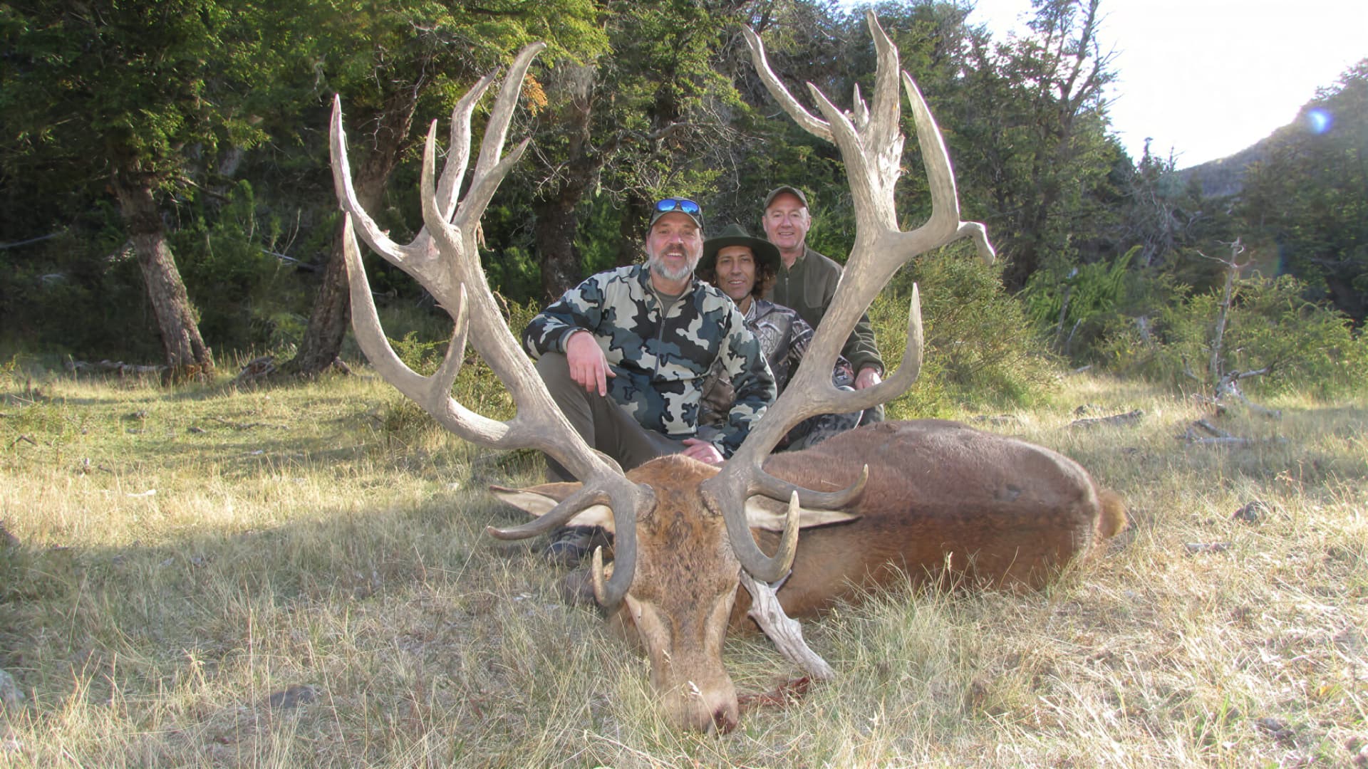 Three hunters behind a wide-antlered red stag in evening light