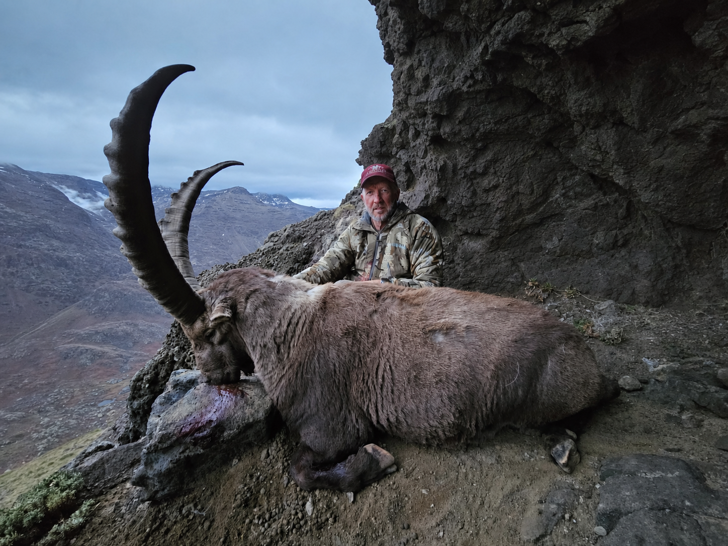 Hunter beside a heavy, deeply ridged Alpine ibex billy on a rocky Andean crag above a misty valley