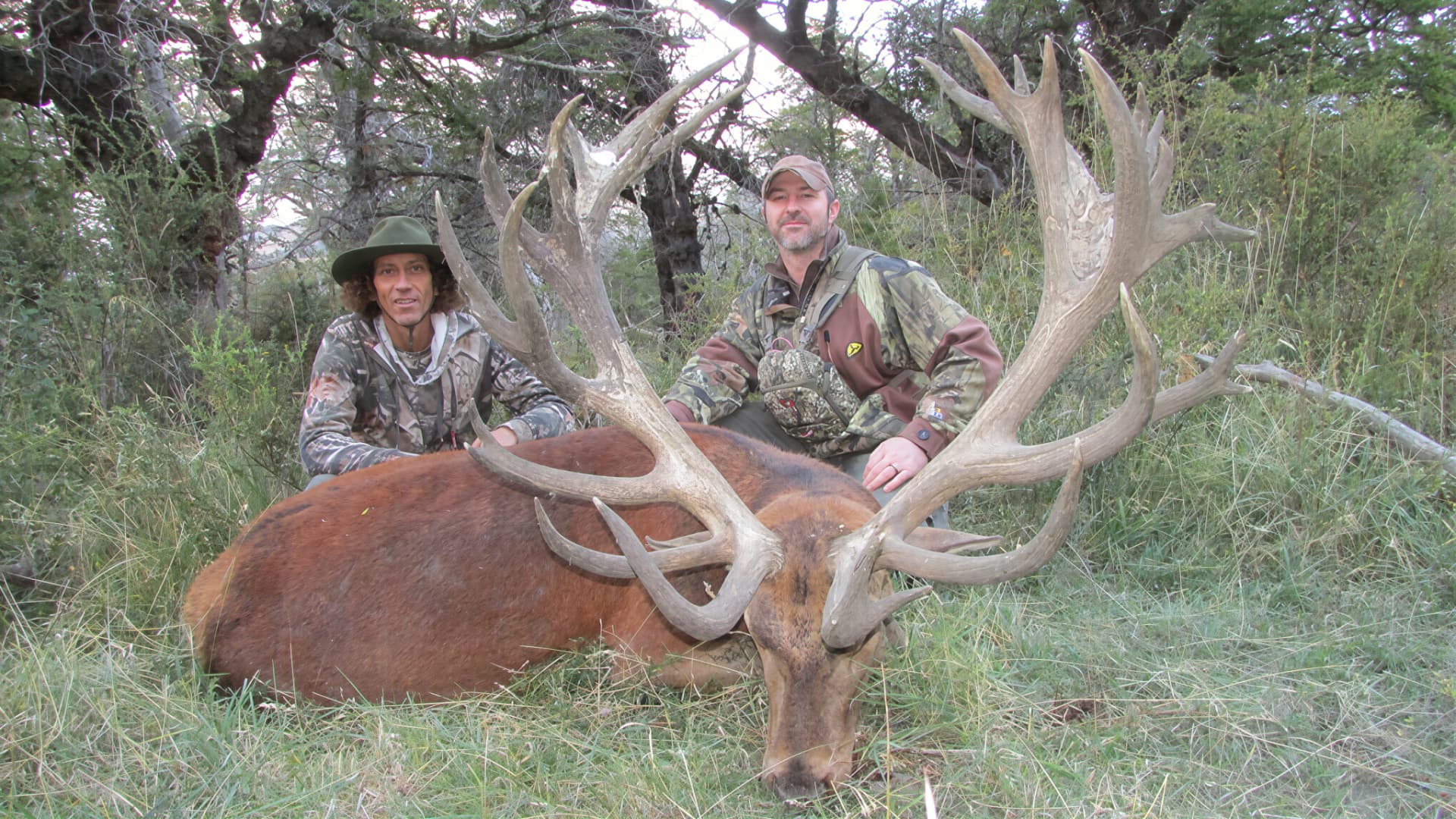 Hunter and guide with a tall-tined red stag in the woods