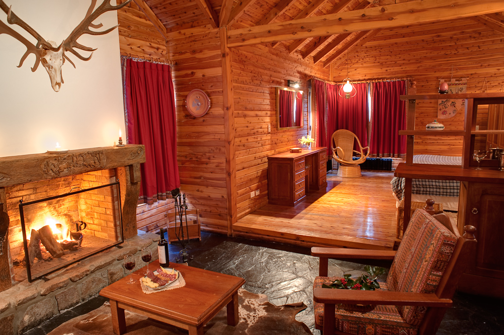 Cabin sitting room with stone fireplace, wine and a red stag mount