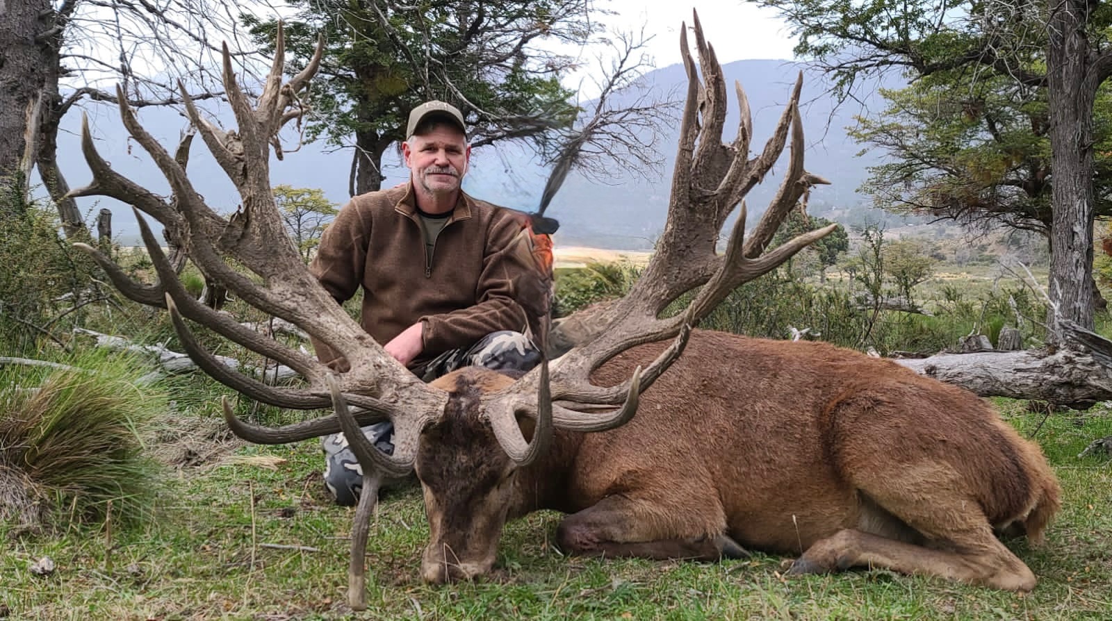 Wide-framed red stag taken in the lenga forest at Parque Diana