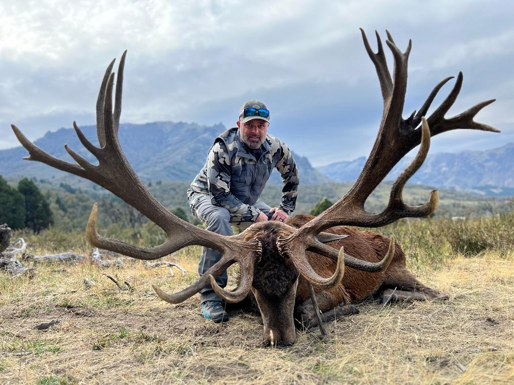 Hunter behind a broad, heavy-tined red stag on the open hillside