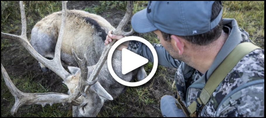 Mark Peterson with a Patagonian red stag — preview from The Journey Within S9:E3