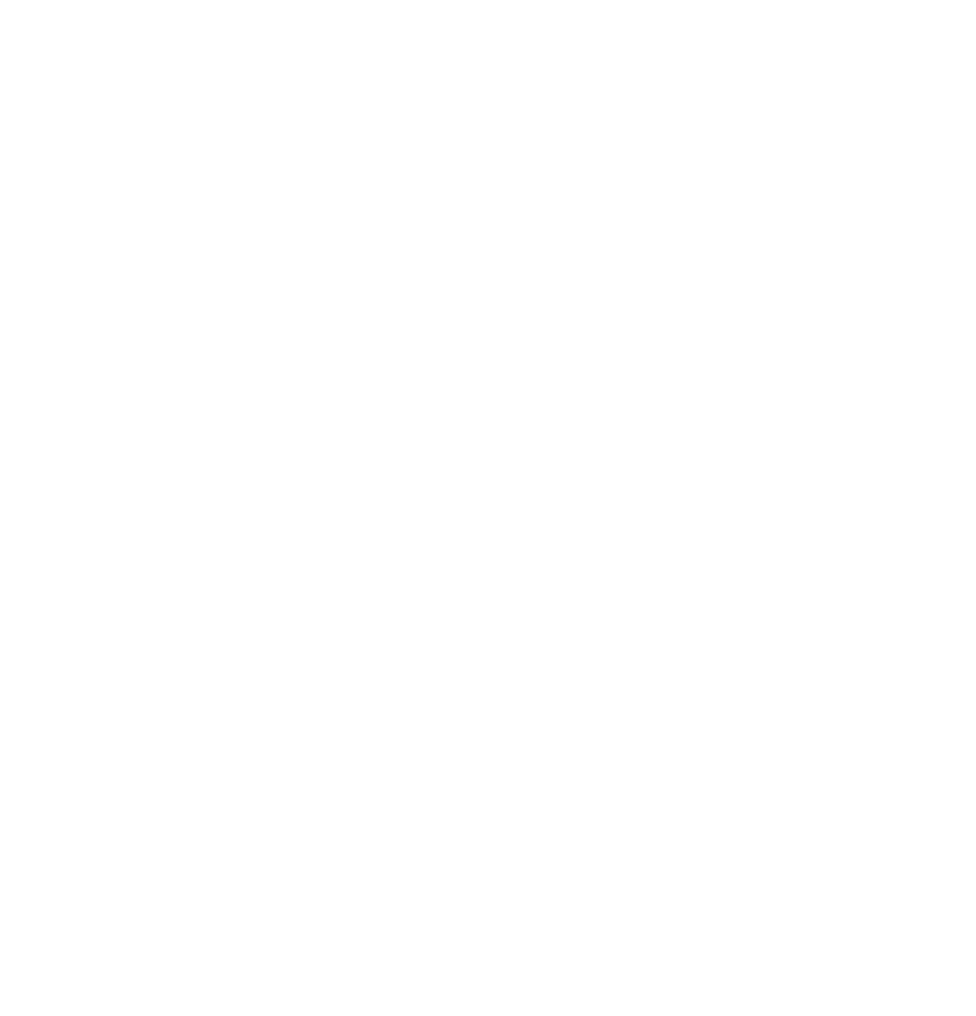 Swarovski Optik logo