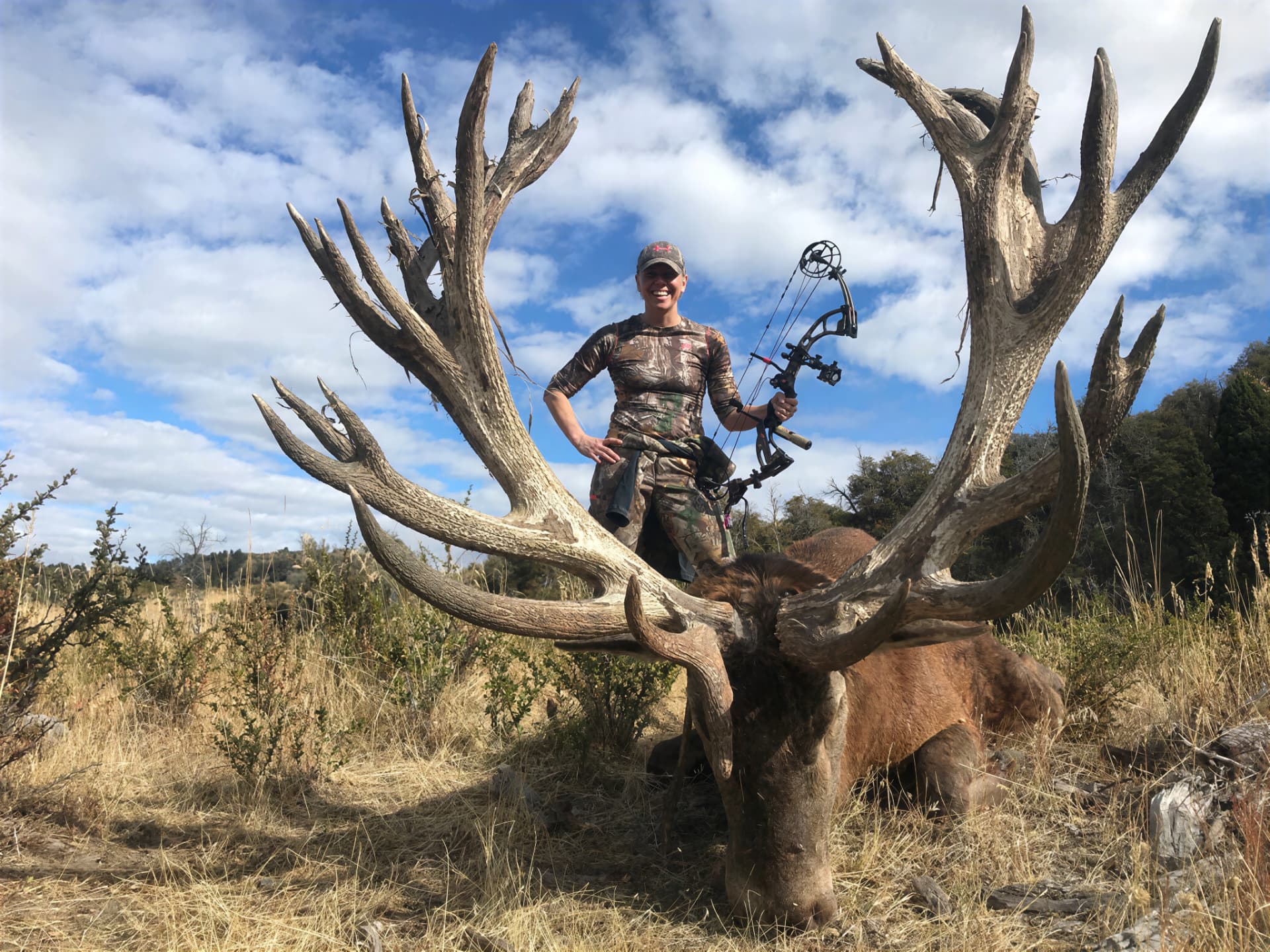 Bowhunter with an enormous palmated red stag